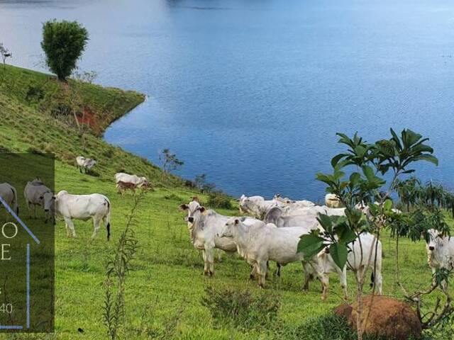 #3091 - Fazenda para Venda em Paraibuna - SP - 1