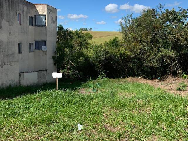 #3095 - Terreno para Venda em Pouso Alegre - MG - 1