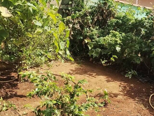 #3099 - Casa para Venda em São Sebastião da Bela Vista - MG - 3