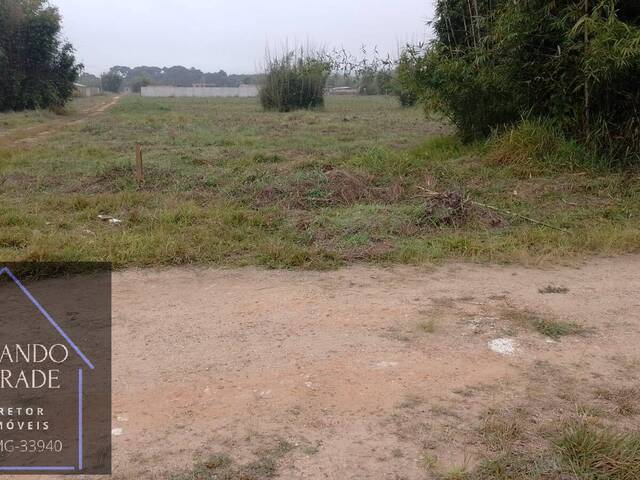 #3100 - Terreno para Venda em São Sebastião da Bela Vista - MG - 1