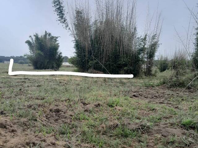 #3100 - Terreno para Venda em São Sebastião da Bela Vista - MG - 3
