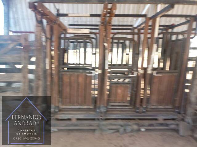 #3114 - Fazenda para Venda em Santa Fé de Minas - MG - 2