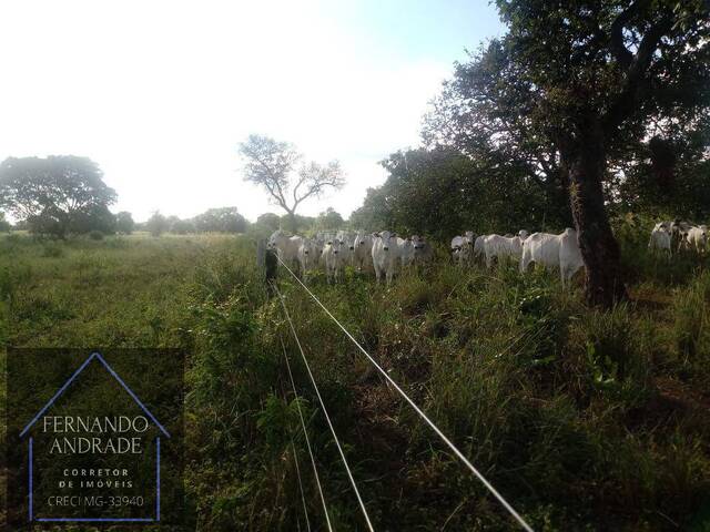 #3114 - Fazenda para Venda em Santa Fé de Minas - MG - 3