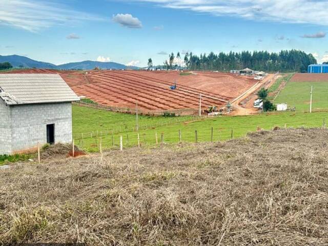 #3124 - Terreno para Venda em Pouso Alegre - MG - 3
