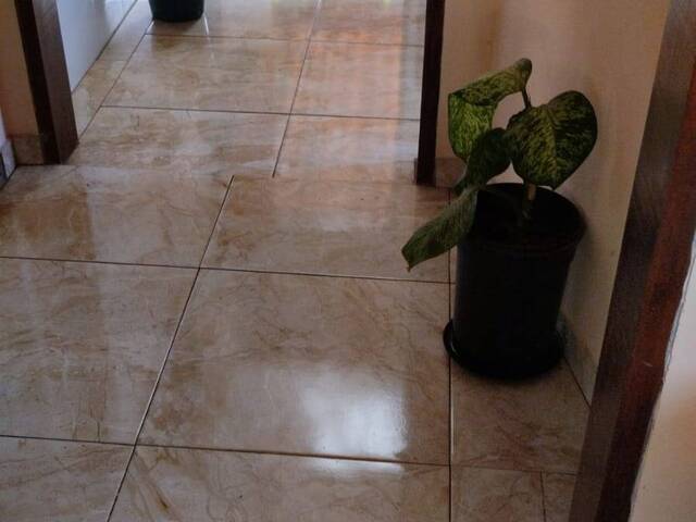 #3129 - Chácara para Venda em Pouso Alegre - MG - 2