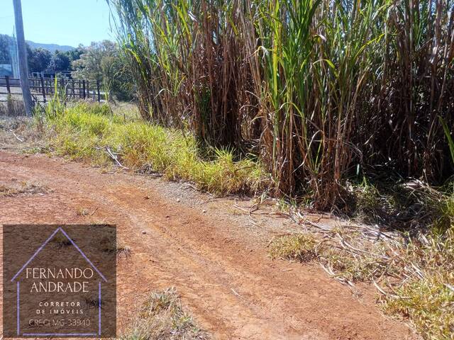 #3130 - Terreno para Venda em Pouso Alegre - MG - 2