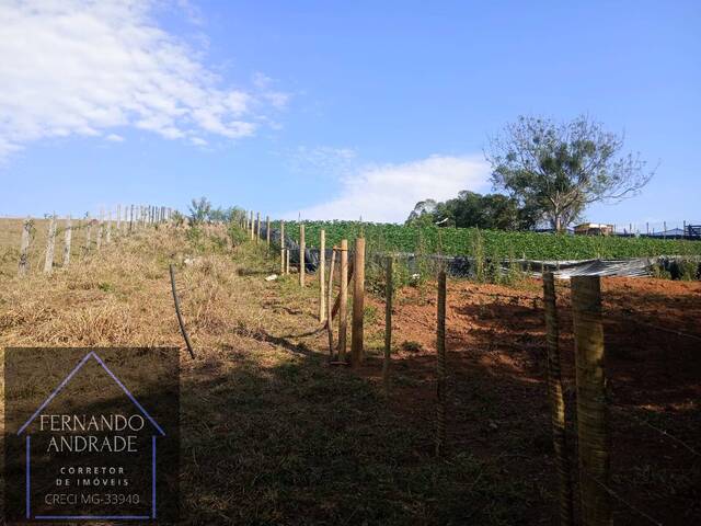 Terreno para Venda em Pouso Alegre - 5