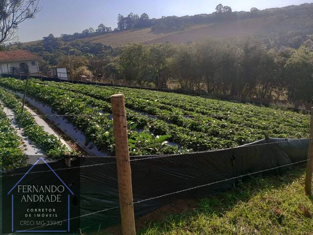 Terreno para Venda em Pouso Alegre - 4