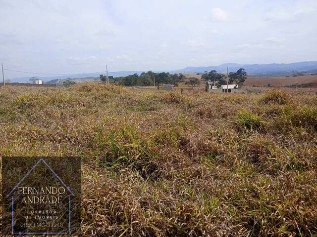 #3142 - Terreno para Venda em São Sebastião da Bela Vista - MG - 3