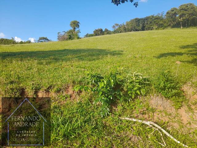 #3147 - Área para Venda em Pouso Alegre - MG - 2