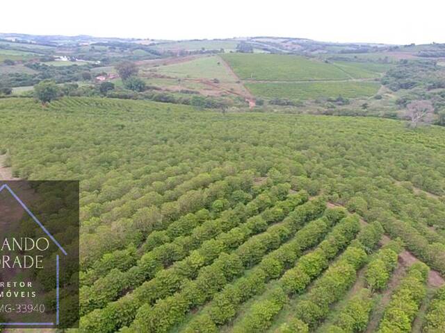 #3150 - Fazenda para Venda em Coqueiral - MG - 2