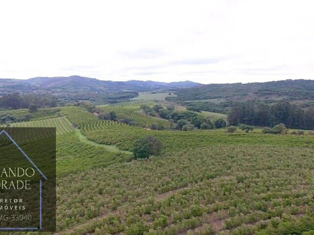 #3150 - Fazenda para Venda em Coqueiral - MG - 3