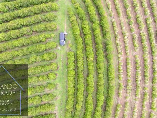 #3150 - Fazenda para Venda em Coqueiral - MG - 1
