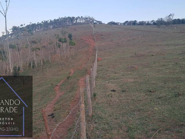 #3157 - Fazenda para Venda em Carmo de Minas - MG - 2