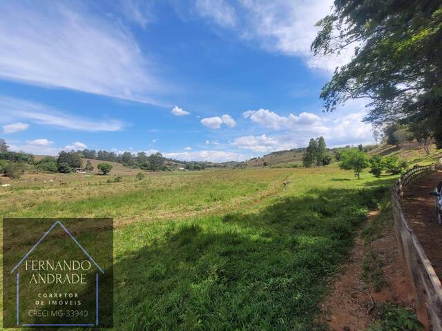 #3162 - Área para Venda em Silvianópolis - MG - 1