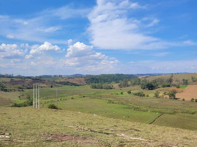 #3162 - Área para Venda em Silvianópolis - MG - 3