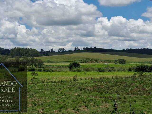 #3165 - Sítio para Venda em Careaçu - MG - 3