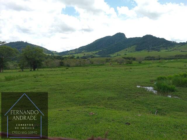 #3169 - Fazenda para Venda em Itajubá - MG - 2