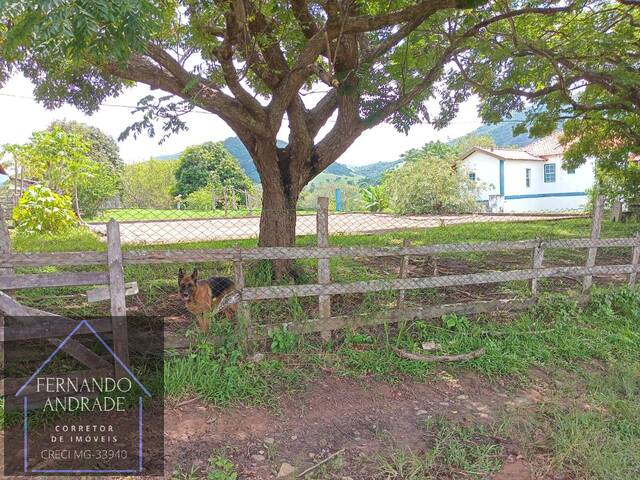 Fazenda para Venda em Itajubá - 4