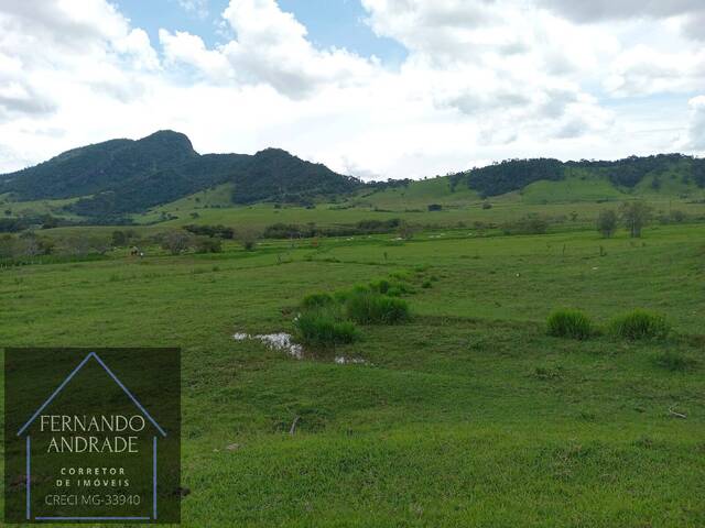 #3169 - Fazenda para Venda em Itajubá - MG - 3