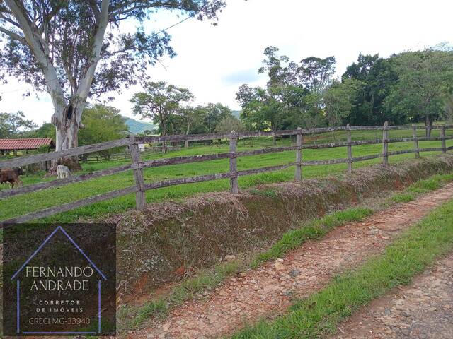 Fazenda para Venda em Itajubá - 5