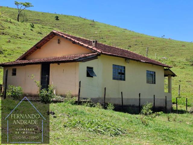 #3177 - Fazenda para Venda em Borda da Mata - MG - 1