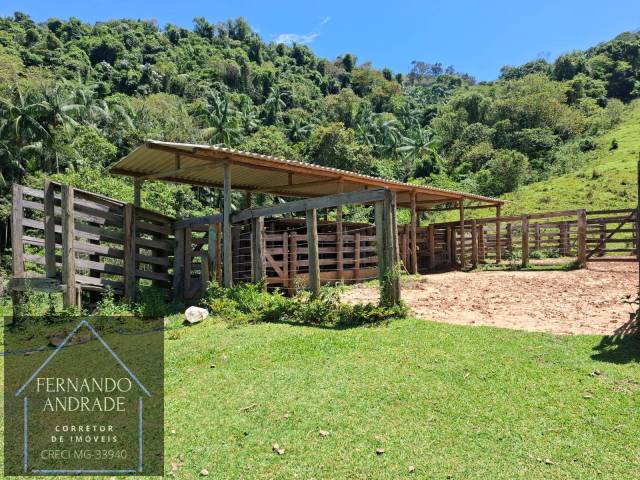 #3177 - Fazenda para Venda em Borda da Mata - MG - 3