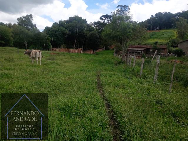 #3182 - Área para Venda em Estiva - MG - 1