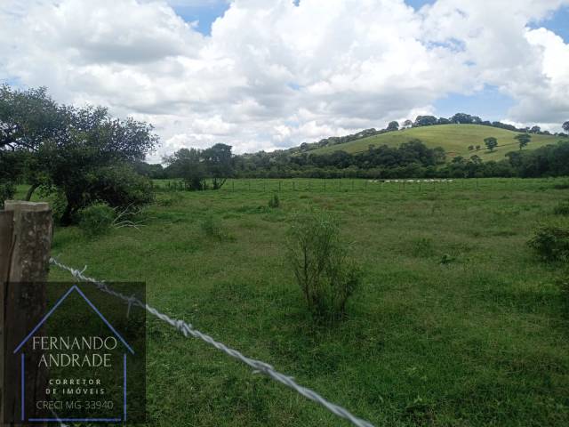 #3183 - Área para Venda em Estiva - MG - 3