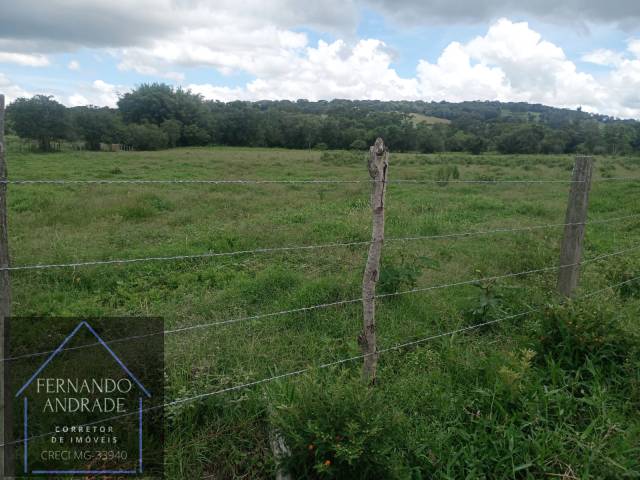 #3183 - Área para Venda em Estiva - MG - 1