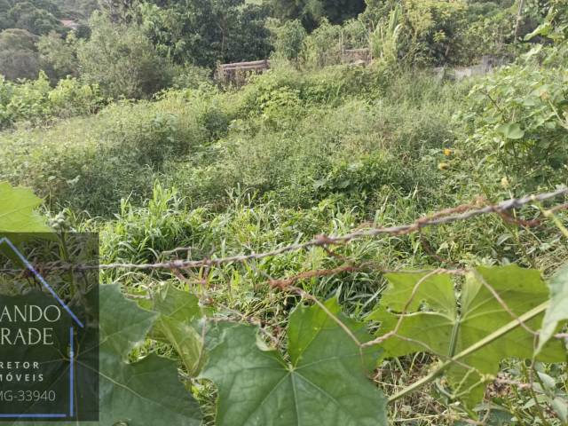 #3186 - Terreno para Venda em Pouso Alegre - MG - 1