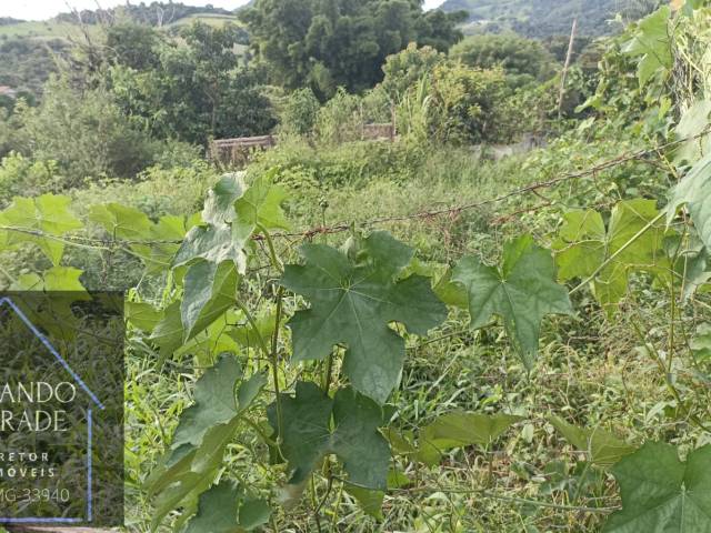 #3186 - Terreno para Venda em Pouso Alegre - MG - 2