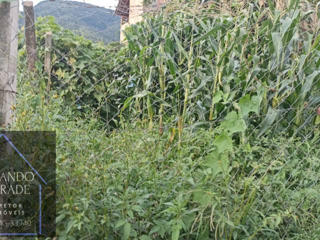 #3186 - Terreno para Venda em Pouso Alegre - MG - 3