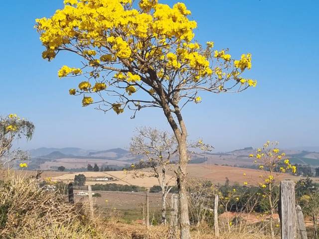 #3189 - Terreno para Venda em São Sebastião da Bela Vista - MG - 1