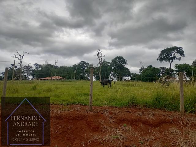 #3195 - Terreno para Venda em Pouso Alegre - MG - 3