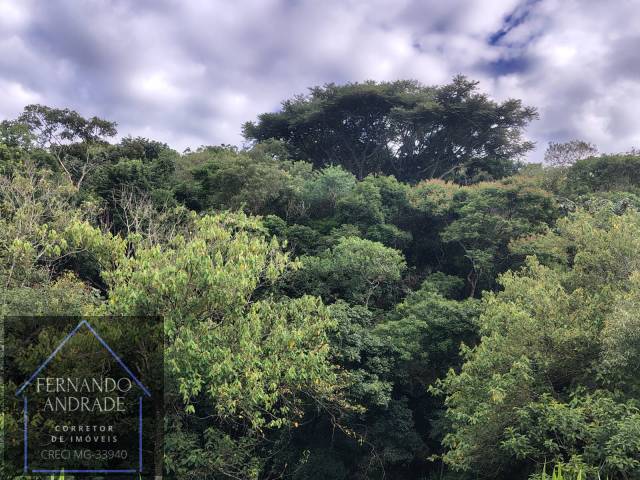 #3197 - Chácara para Venda em Ibitiúra de Minas - MG - 3