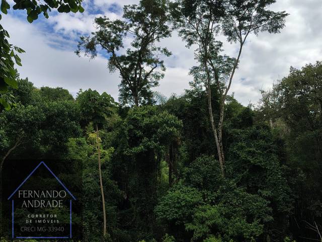 #3197 - Chácara para Venda em Ibitiúra de Minas - MG - 2
