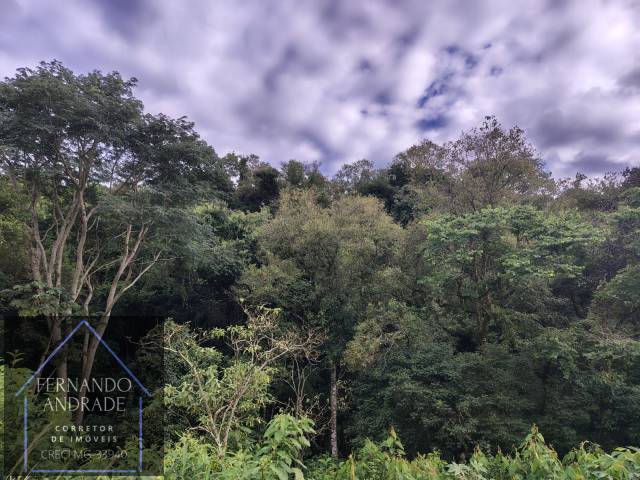 #3197 - Chácara para Venda em Ibitiúra de Minas - MG - 1