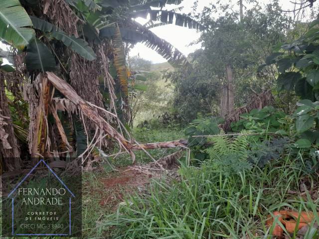 #3198 - Área para Incorporação para Venda em Pouso Alegre - MG - 3