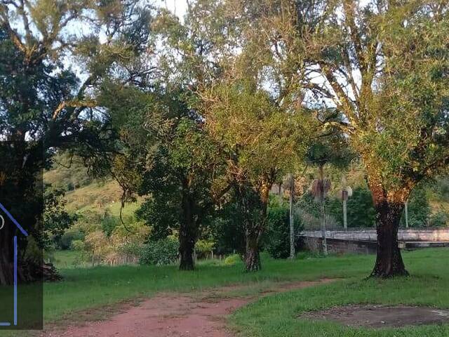 #3203 - Sítio para Venda em Ouro Fino - MG - 3