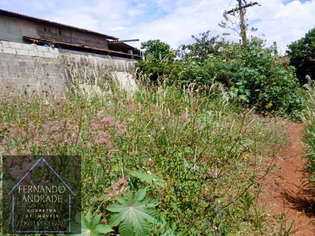 #3207 - Área para Venda em Pouso Alegre - MG - 1