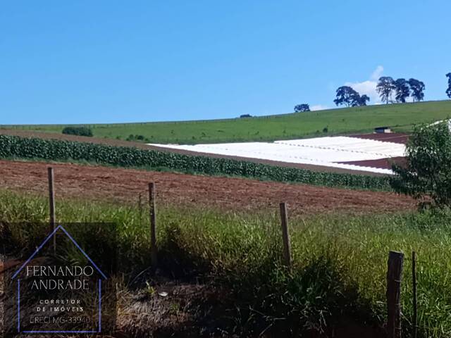 #3210 - Sítio para Venda em Pouso Alegre - MG - 2