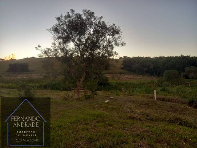 Terreno para Venda em Pouso Alegre - 4