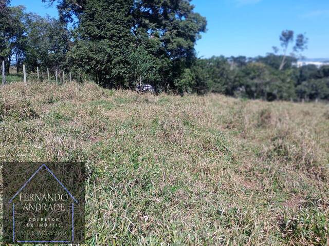 #3239 - Terreno para Venda em Pouso Alegre - MG - 2