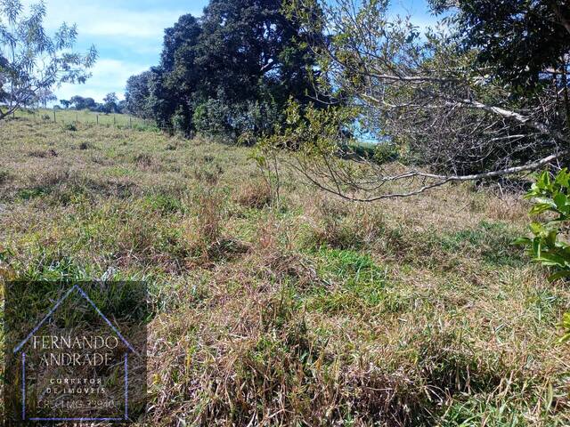 Terreno para Venda em Pouso Alegre - 5