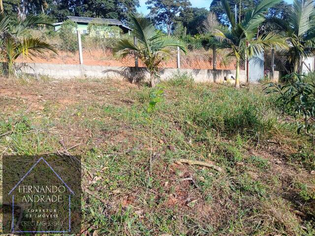 Terreno para Venda em Pouso Alegre - 4