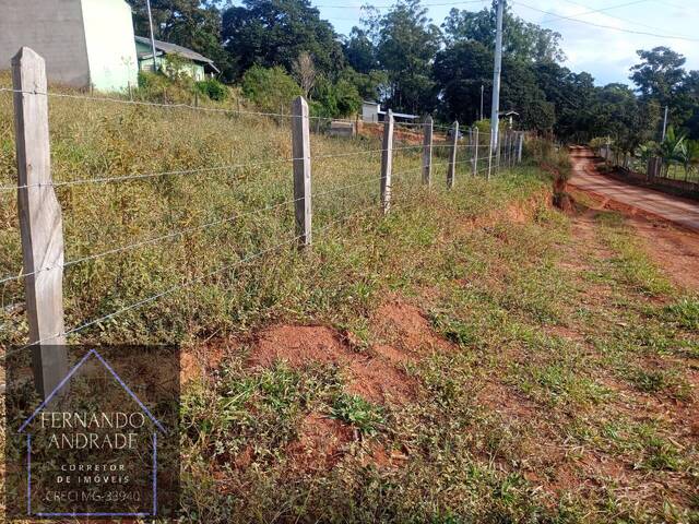 #3243 - Área para Venda em Pouso Alegre - MG - 3