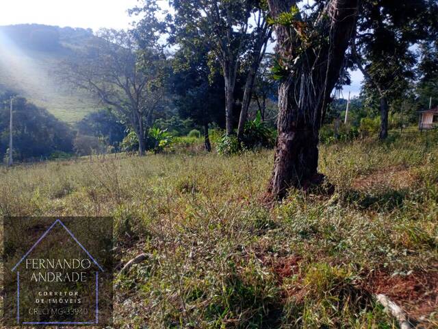 Área para Venda em Pouso Alegre - 4