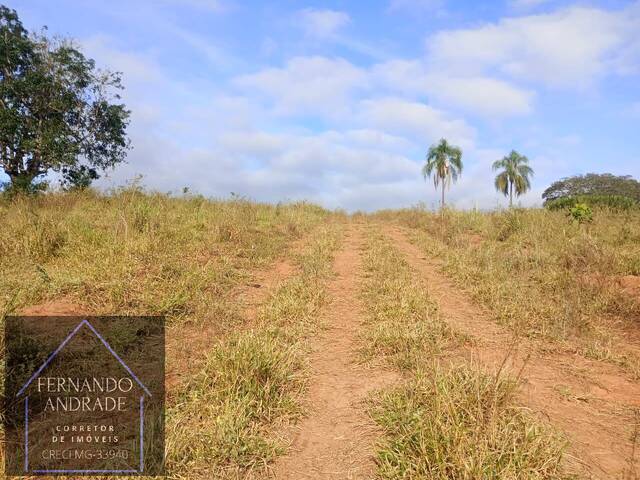 #3243 - Área para Venda em Pouso Alegre - MG - 1