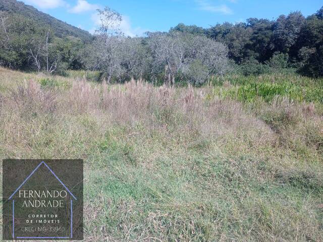 Sítio para Venda em Cachoeira de Minas - 2
